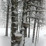 Tatil Evi Vikendica Pahuljica