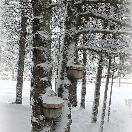 Holiday home Vikendica Pahuljica