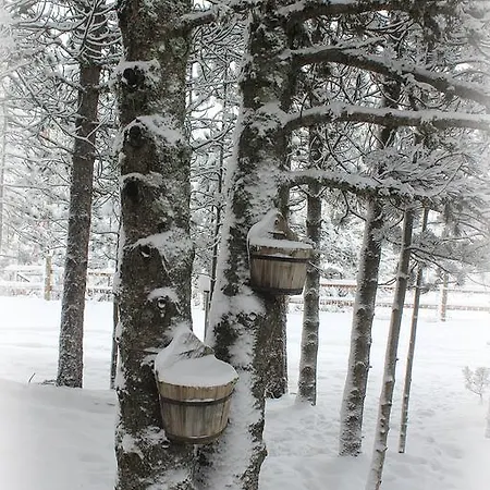 Holiday home Vikendica Pahuljica